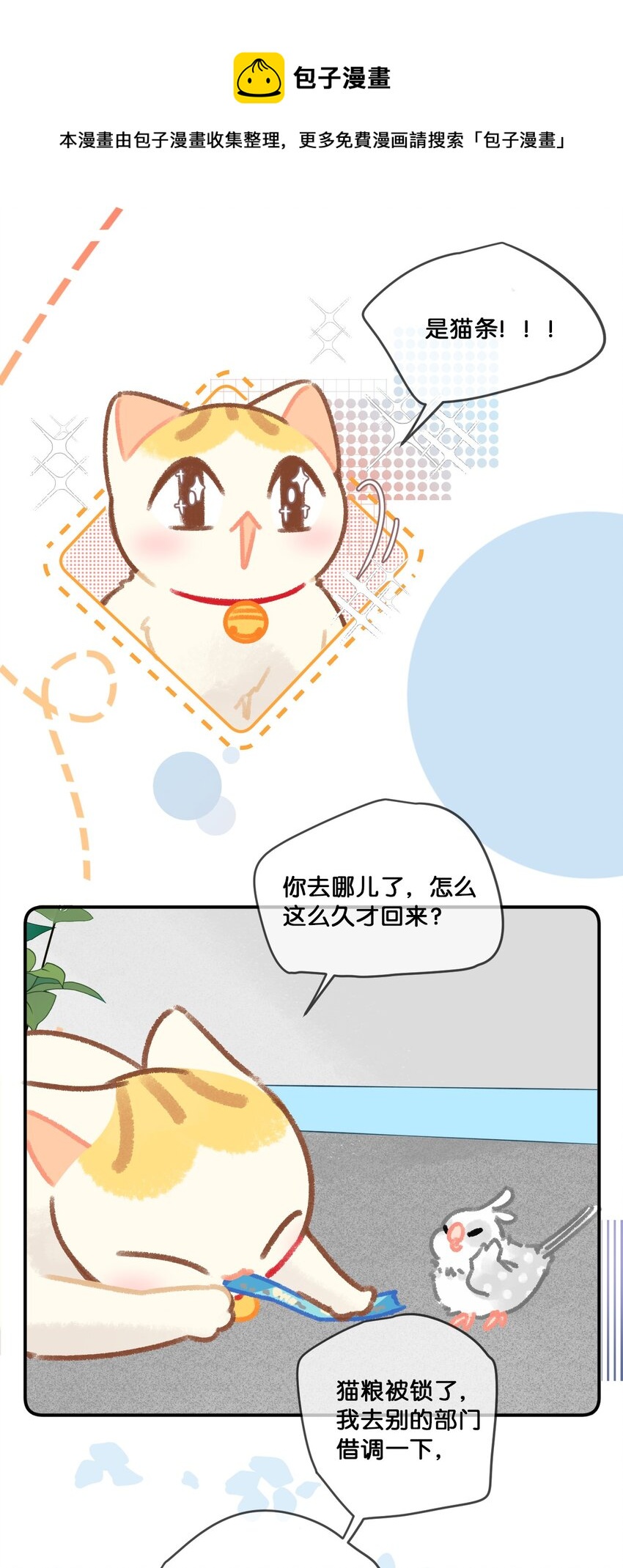 28 职场导师锅包又带出来的职场新猫！4