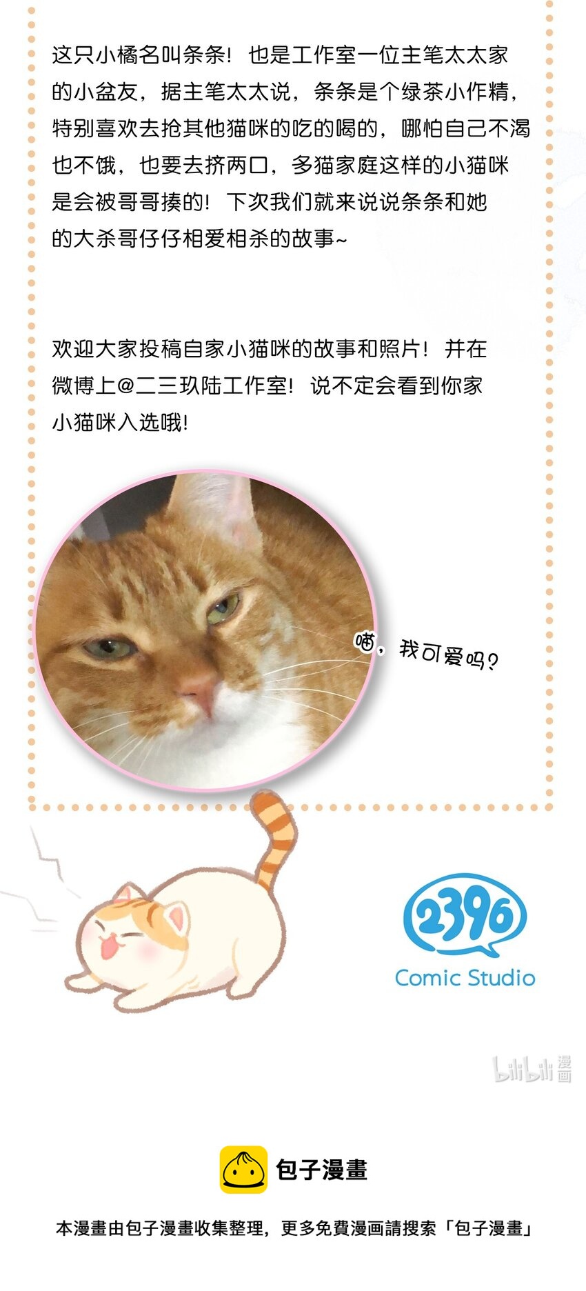 27 十万伏特喵！17