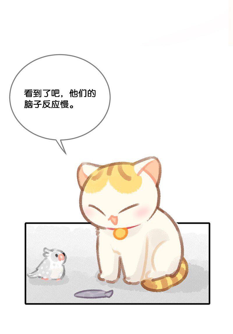 32 橘总对职场菜鸟的暖心鼓励10
