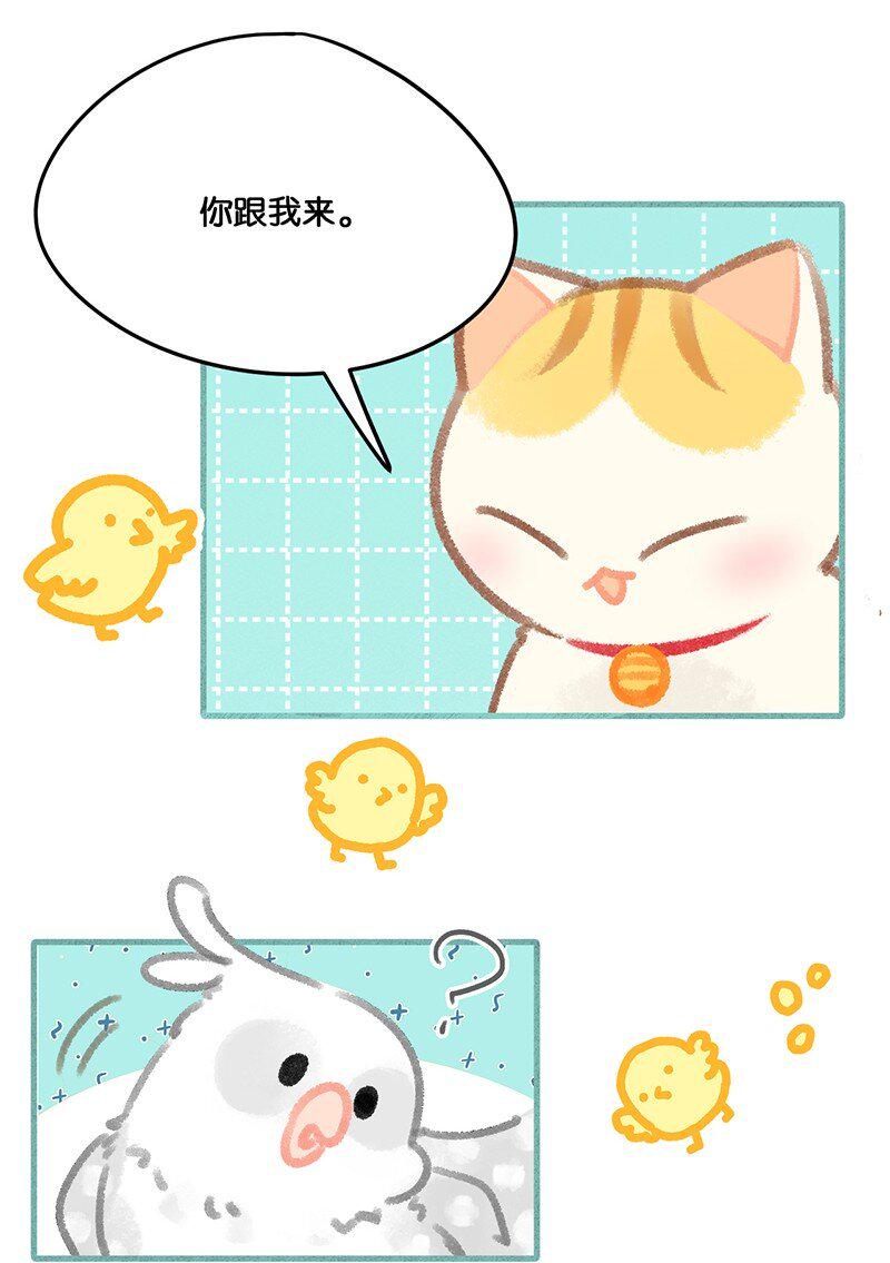 32 橘总对职场菜鸟的暖心鼓励19
