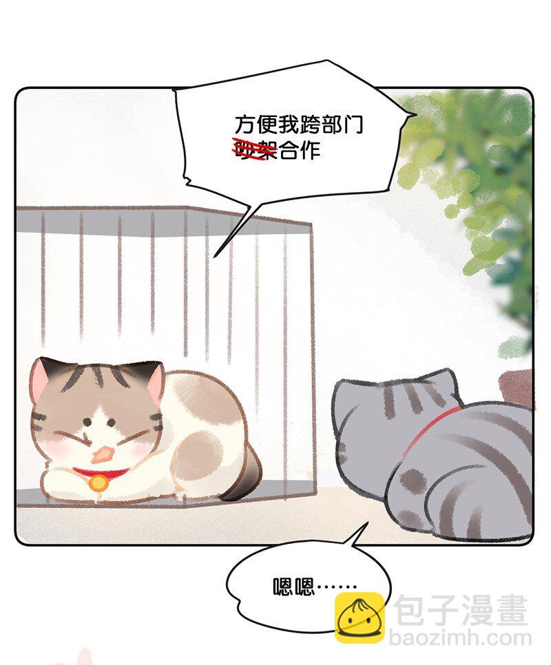 26 喵高管们的新年愿望？10