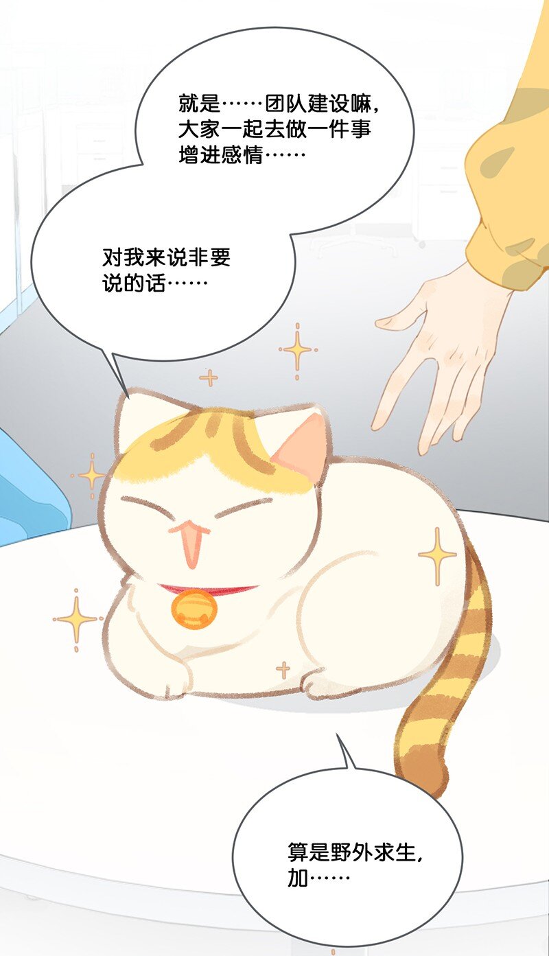 22 团建是密室逃脱和野外求生？12