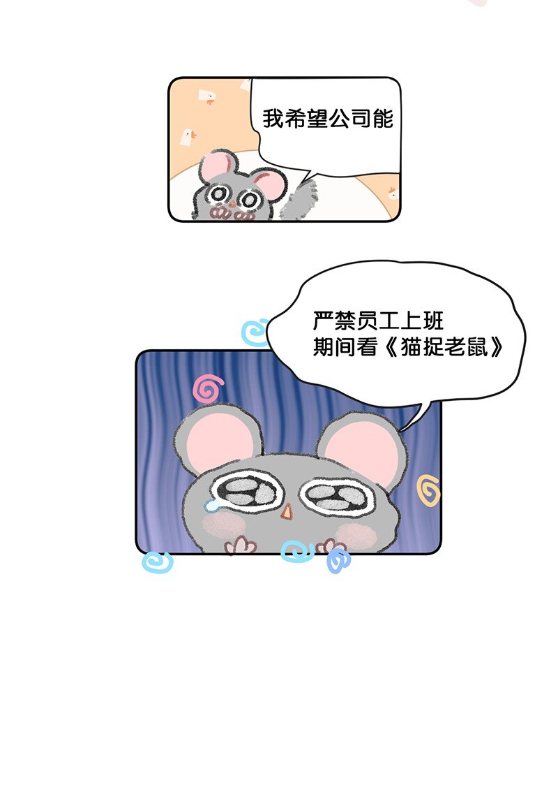 26 喵高管们的新年愿望？12