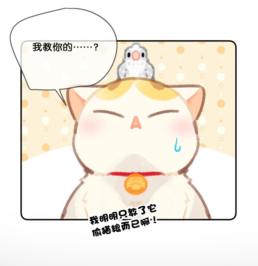 28 职场导师锅包又带出来的职场新猫！15