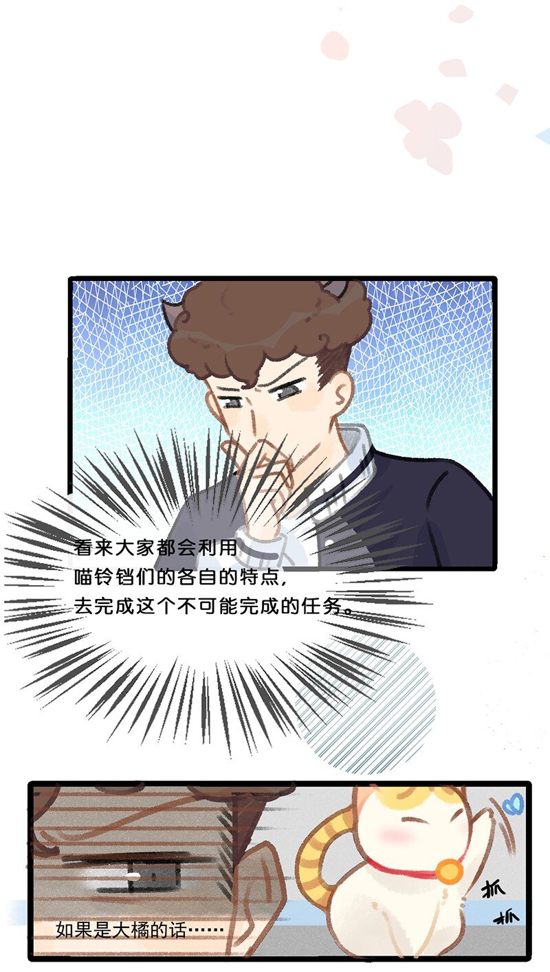 39 喵爪开花的办法！22