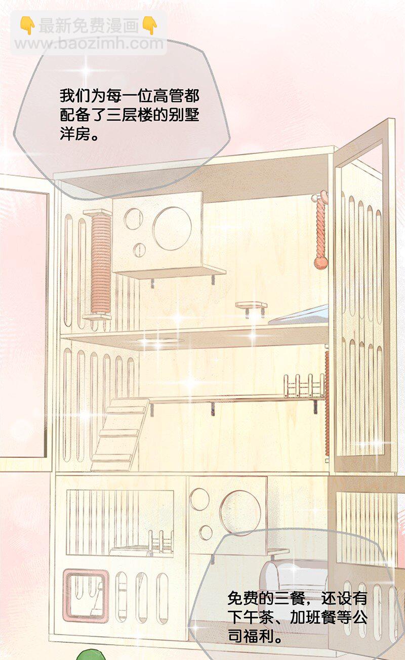 09 新“高管”入职……？15