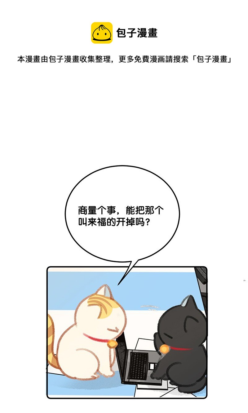 29 内卷之王王中王20