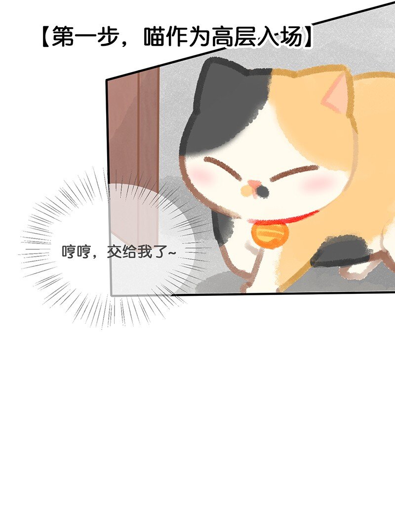 12 万能的喵铃铛？6