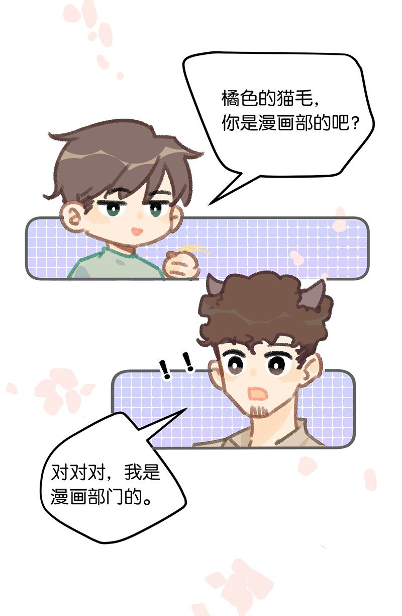 38 猫毛的多种用途？！13
