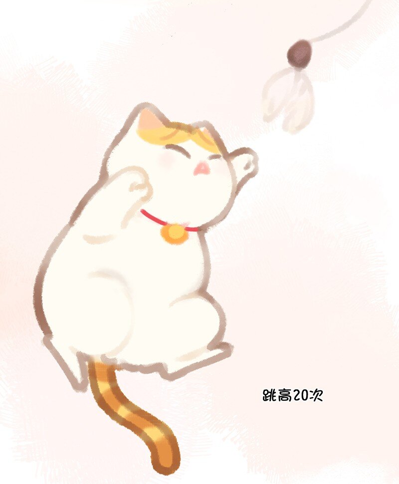 07 减肥是不可能减肥的！12