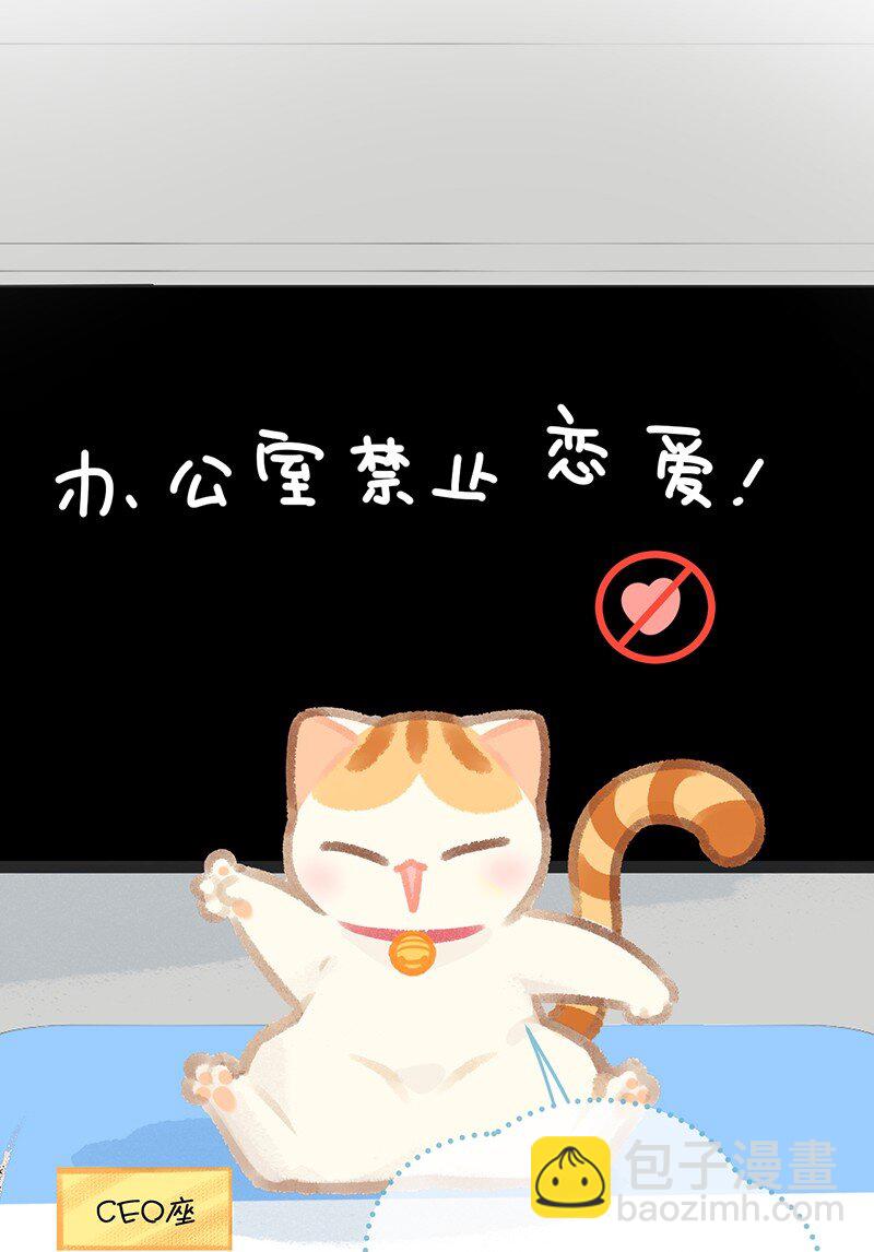 15 禁忌的办公室恋爱……17