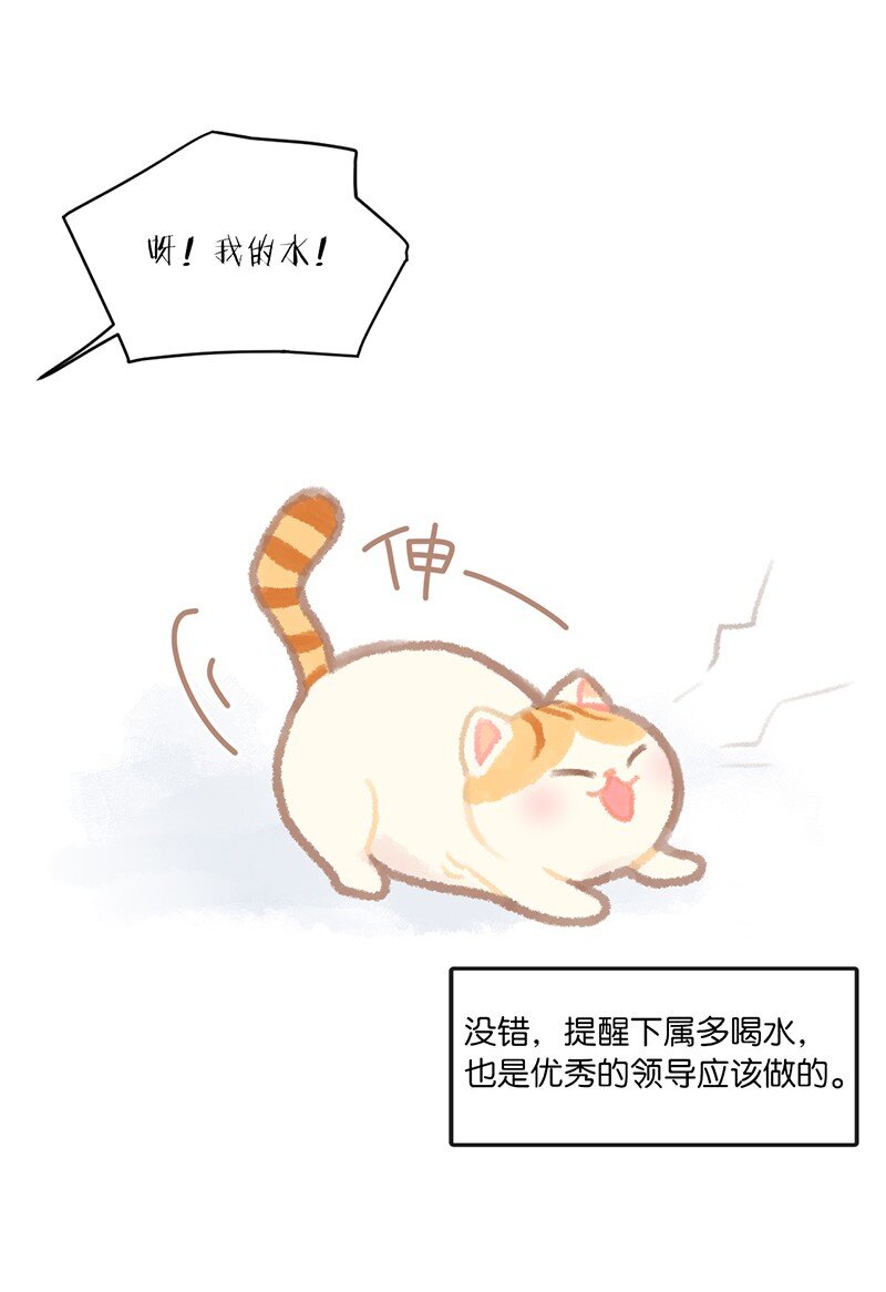 02 高管喵的日常6