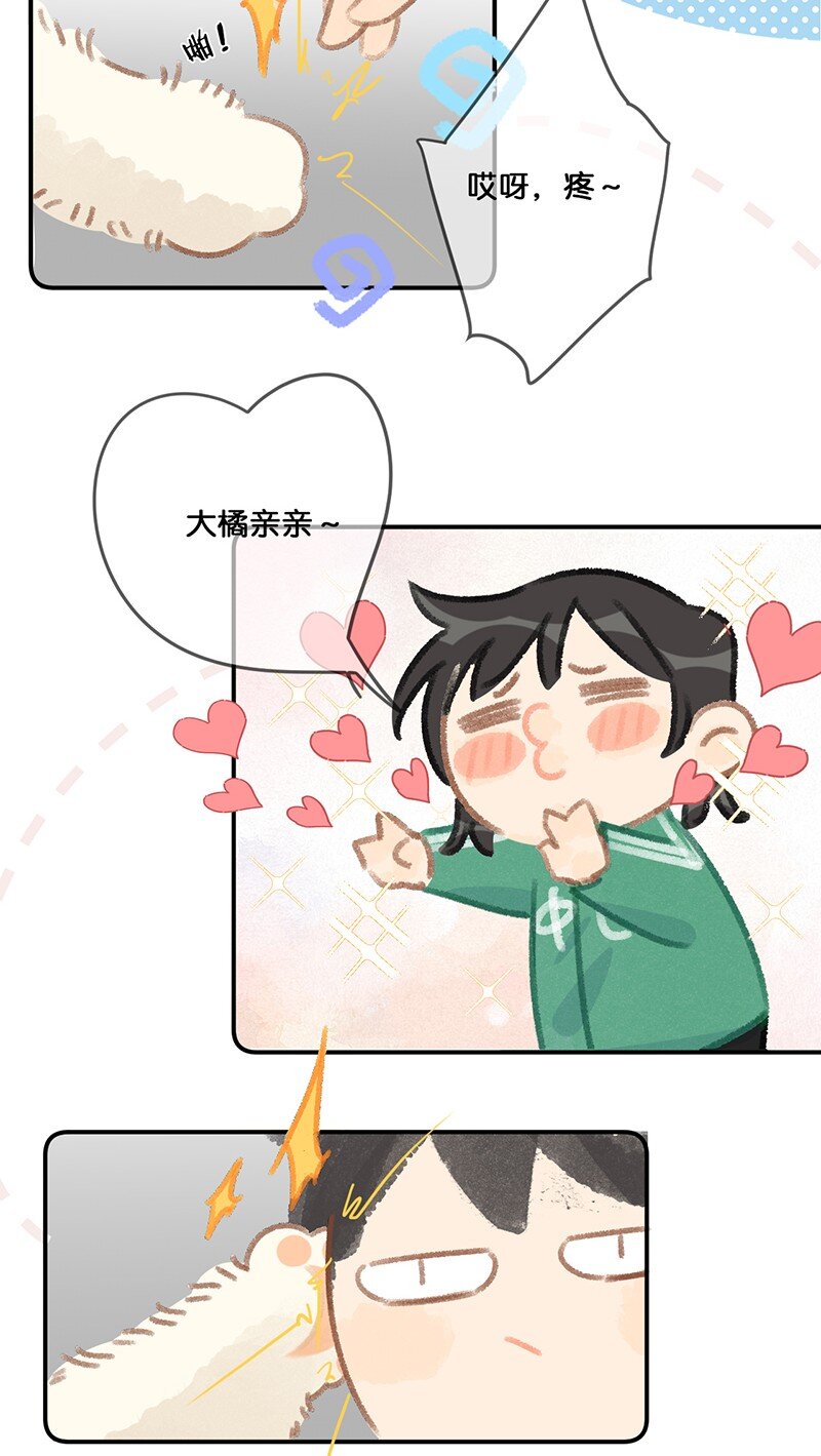 27 十万伏特喵！10