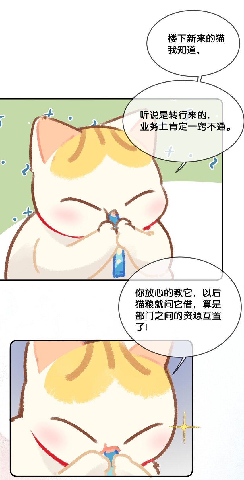 28 职场导师锅包又带出来的职场新猫！6
