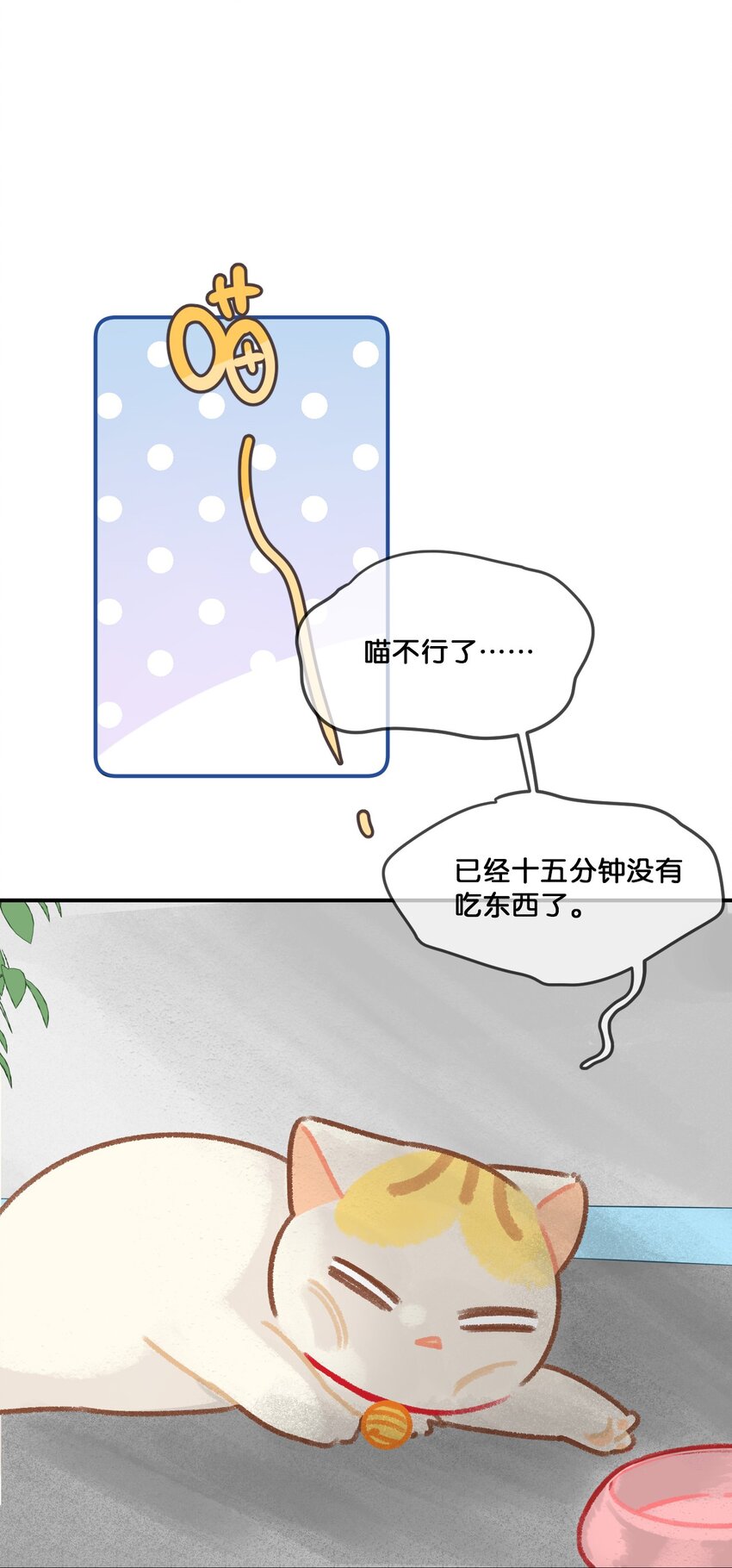 28 职场导师锅包又带出来的职场新猫！2