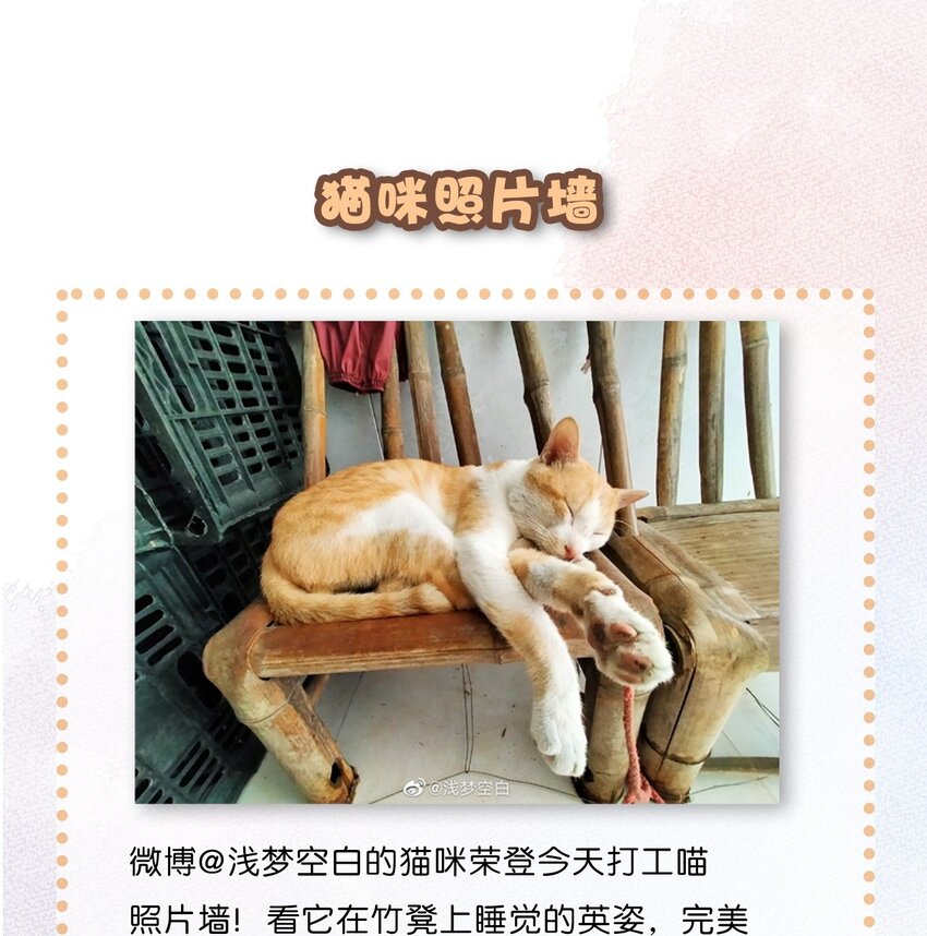07 减肥是不可能减肥的！24