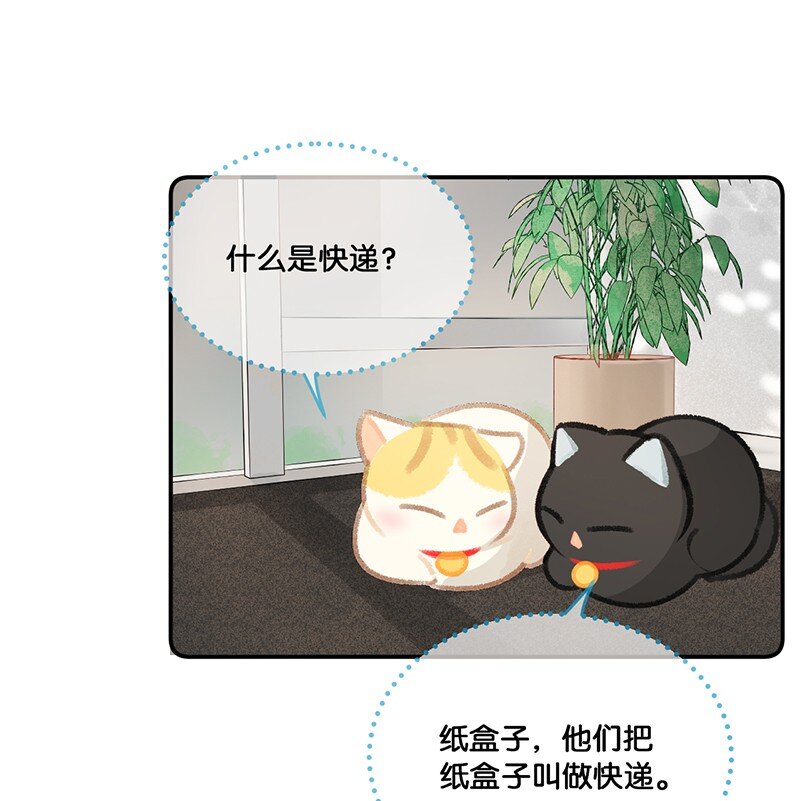 20 神秘的十一和十二月18