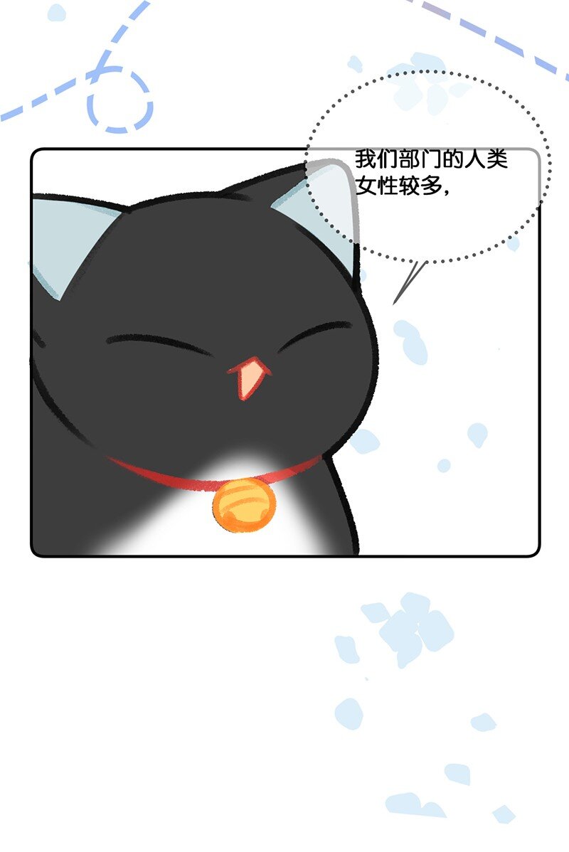 20 神秘的十一和十二月8