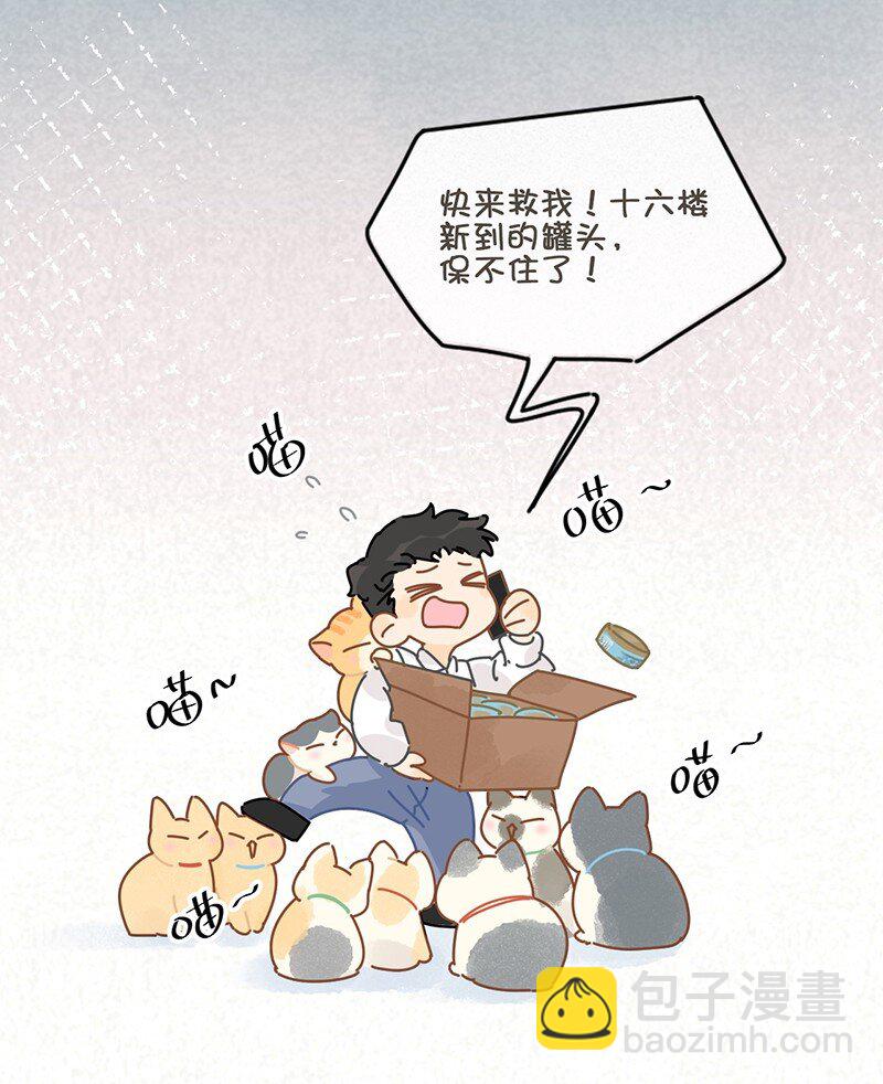 13 无处不在的“高管”18