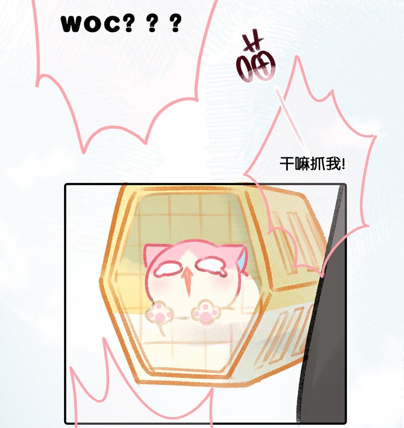09 新“高管”入职……？12