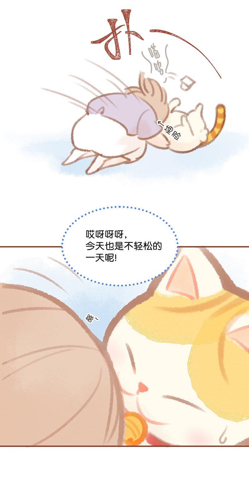 01 谁还不是个高管喵了？11