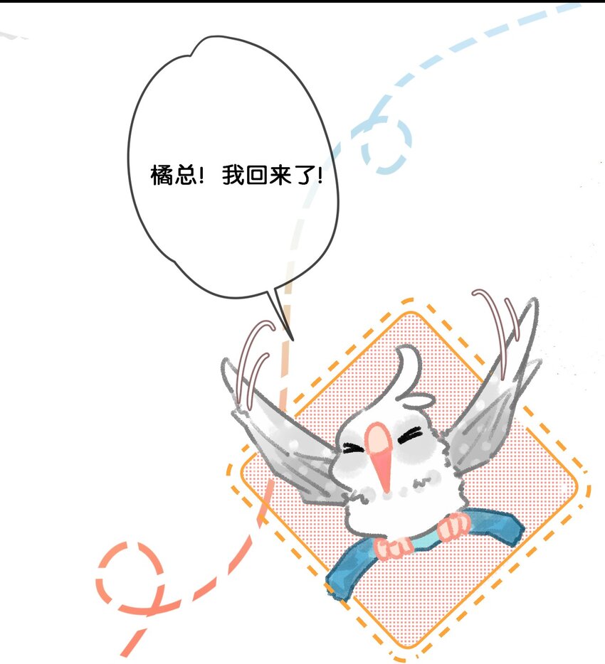 28 职场导师锅包又带出来的职场新猫！3