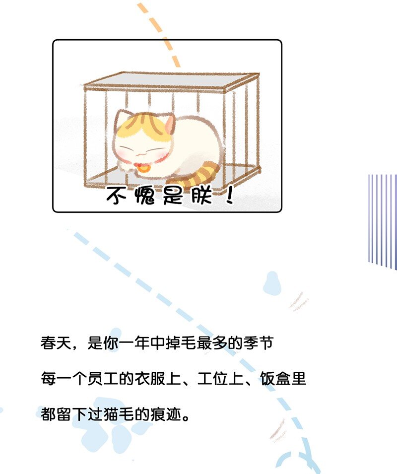 21 大橘的年终总结报告12