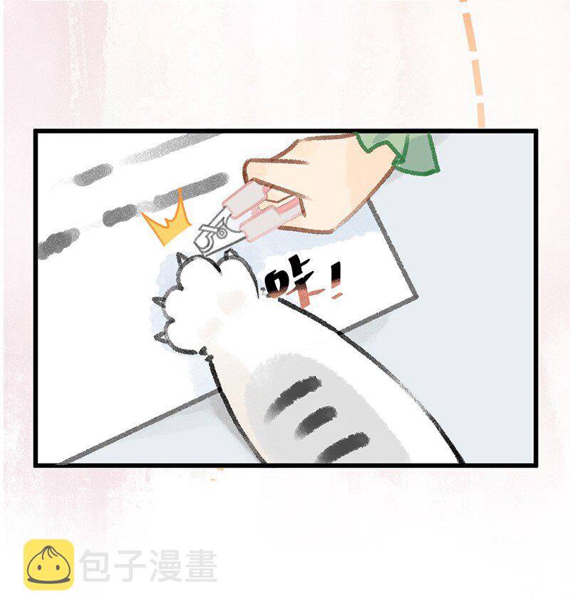 39 喵爪开花的办法！13