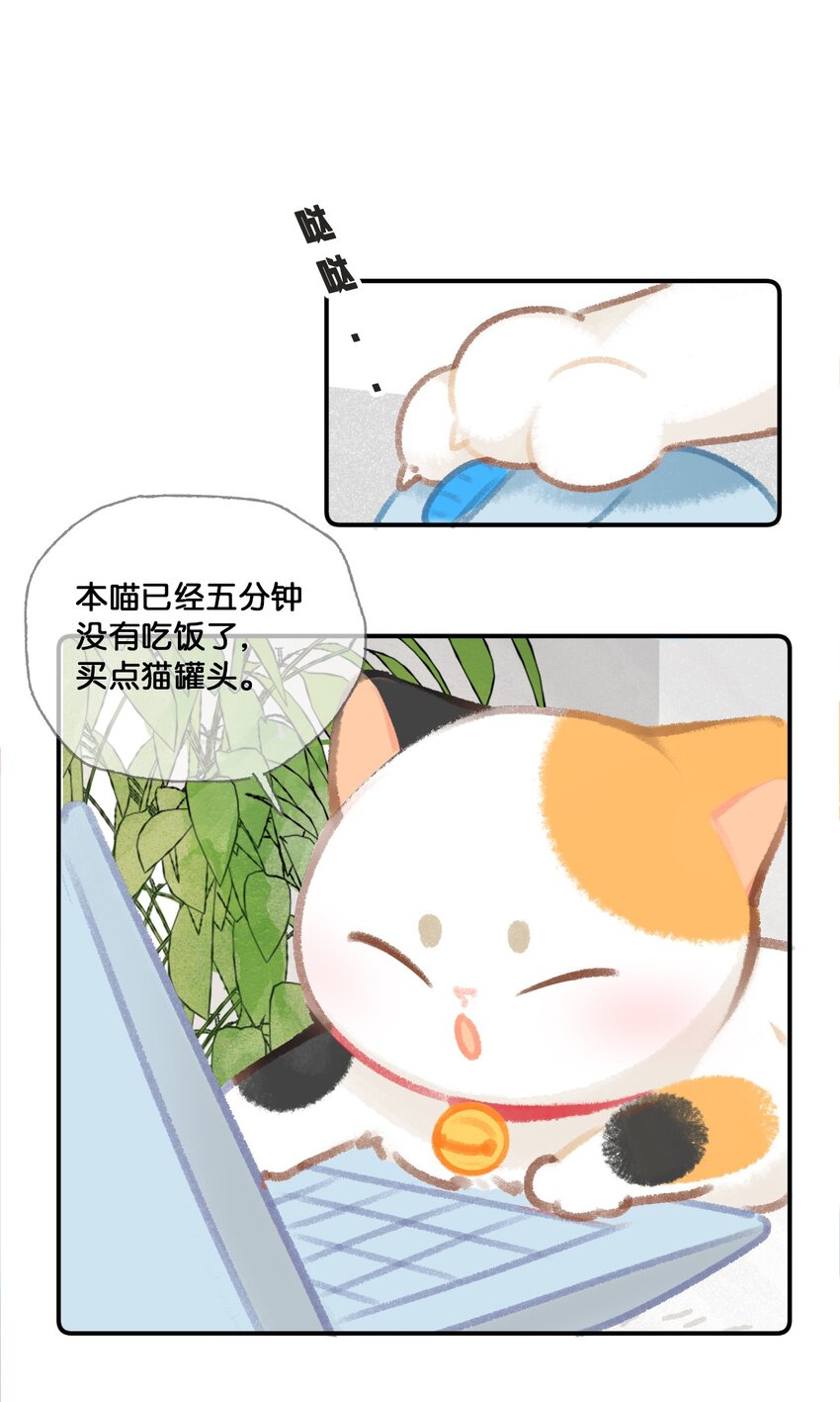 31 原价998，现在只要98？！2