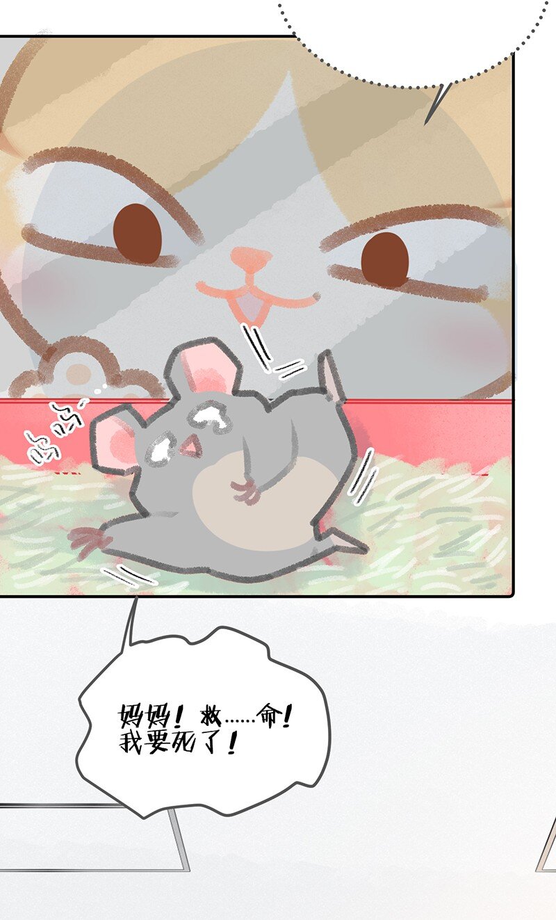 14 肖申克的救赎？12