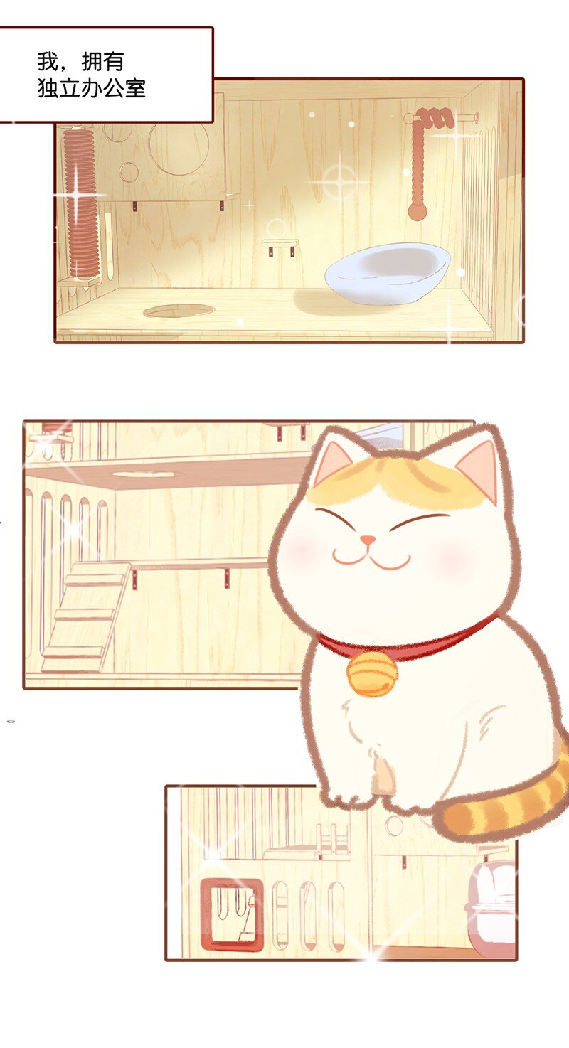 01 谁还不是个高管喵了？3