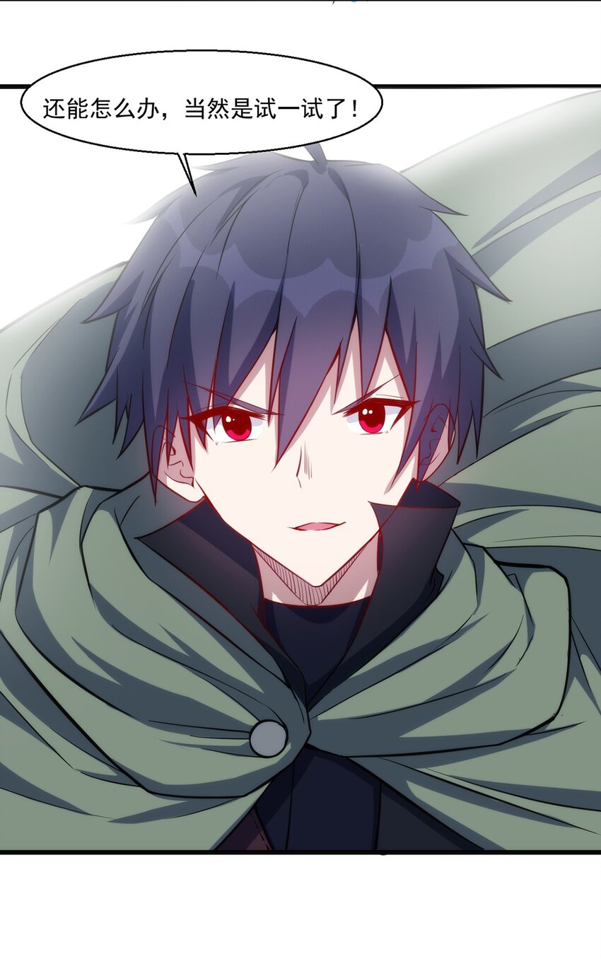 026 全网直播41