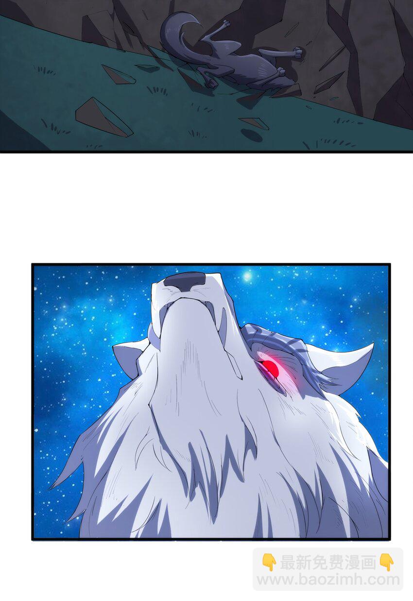 010 啸月白狼24