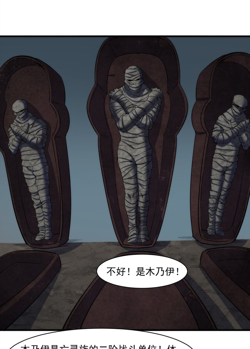 028 棺材26