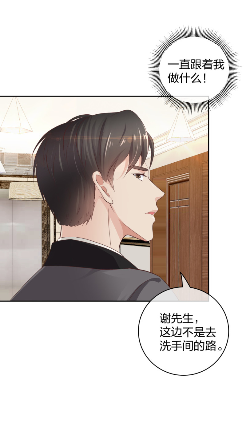 39鸽子王本鸽30