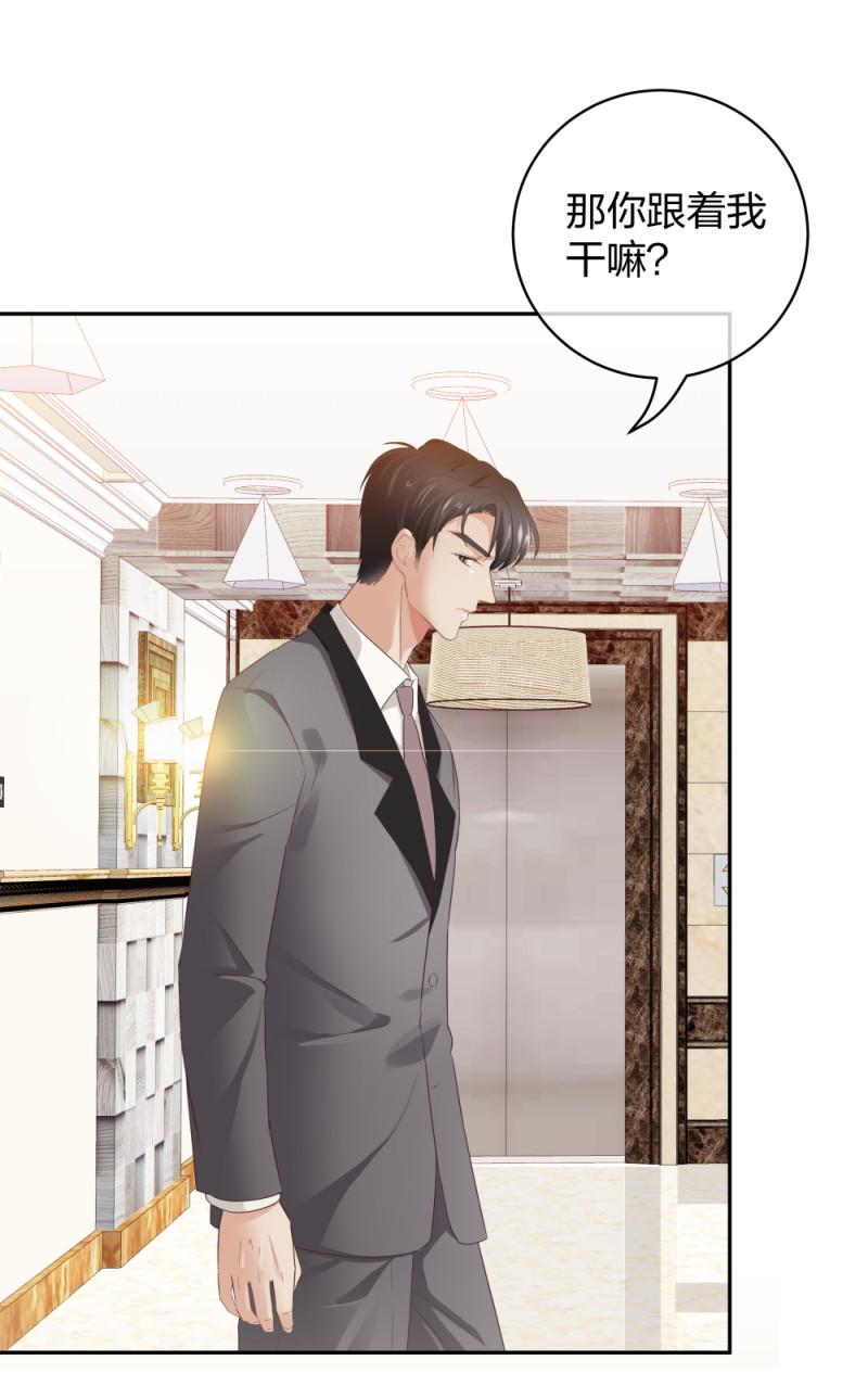 39鸽子王本鸽32