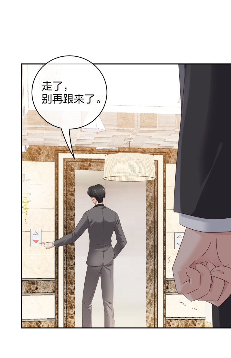 39鸽子王本鸽38