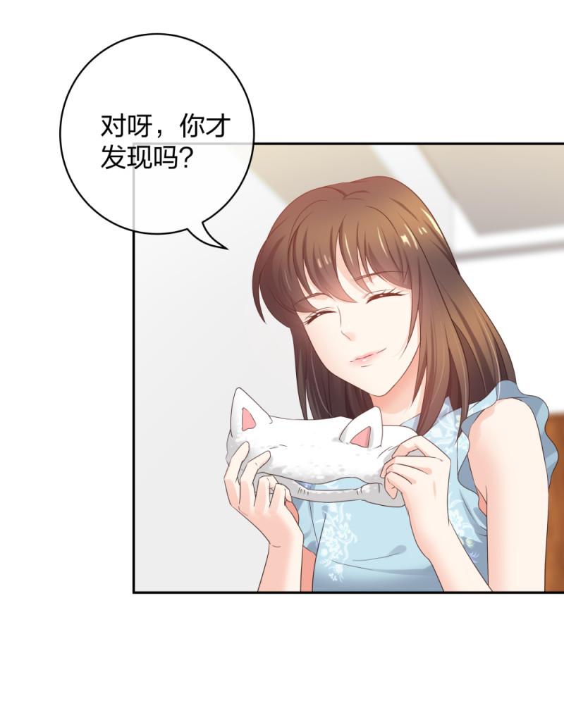 39鸽子王本鸽21