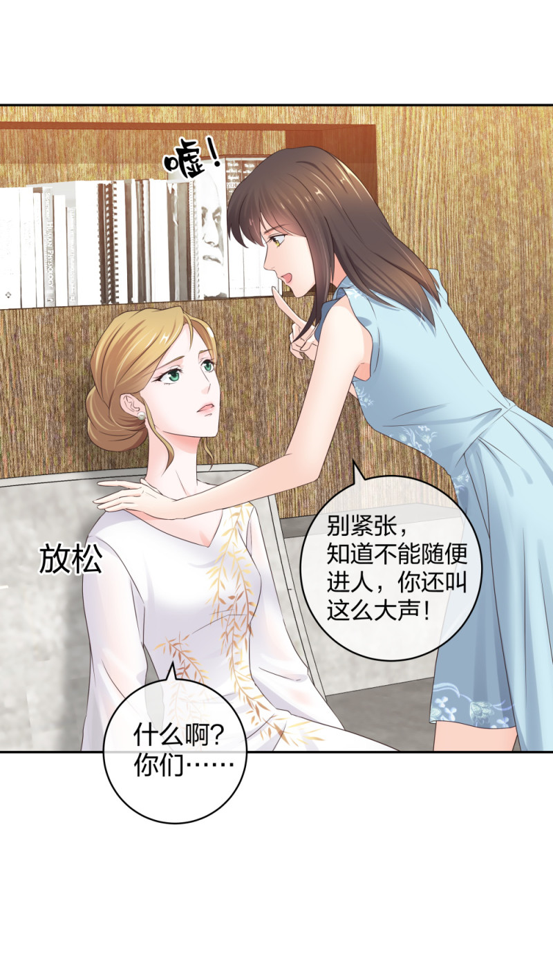 39鸽子王本鸽16