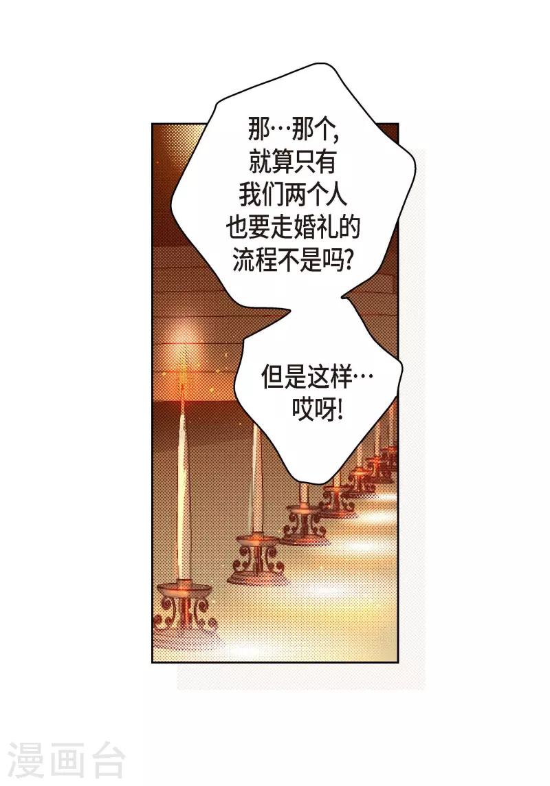 第62话 婚礼28