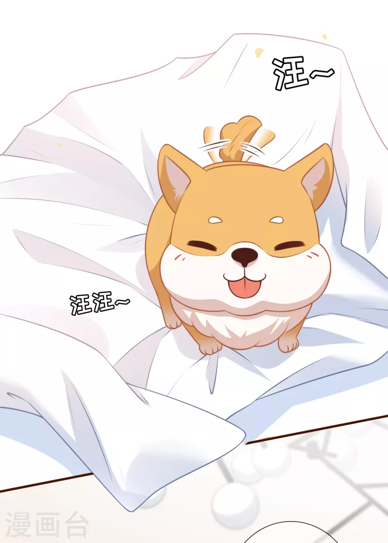 第118话 大哥现身1