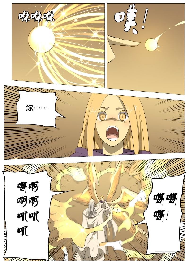 规则213