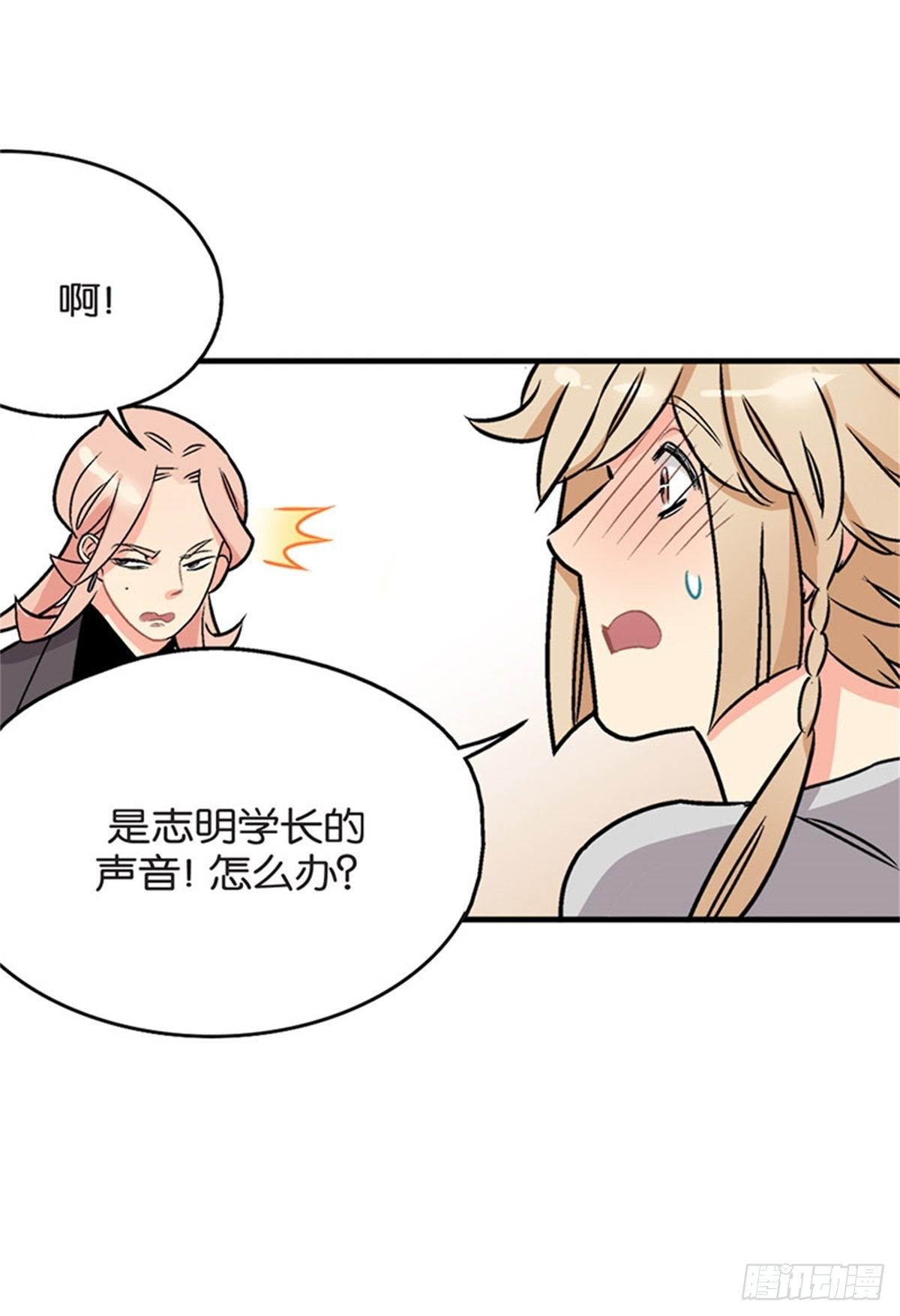 chapter 538