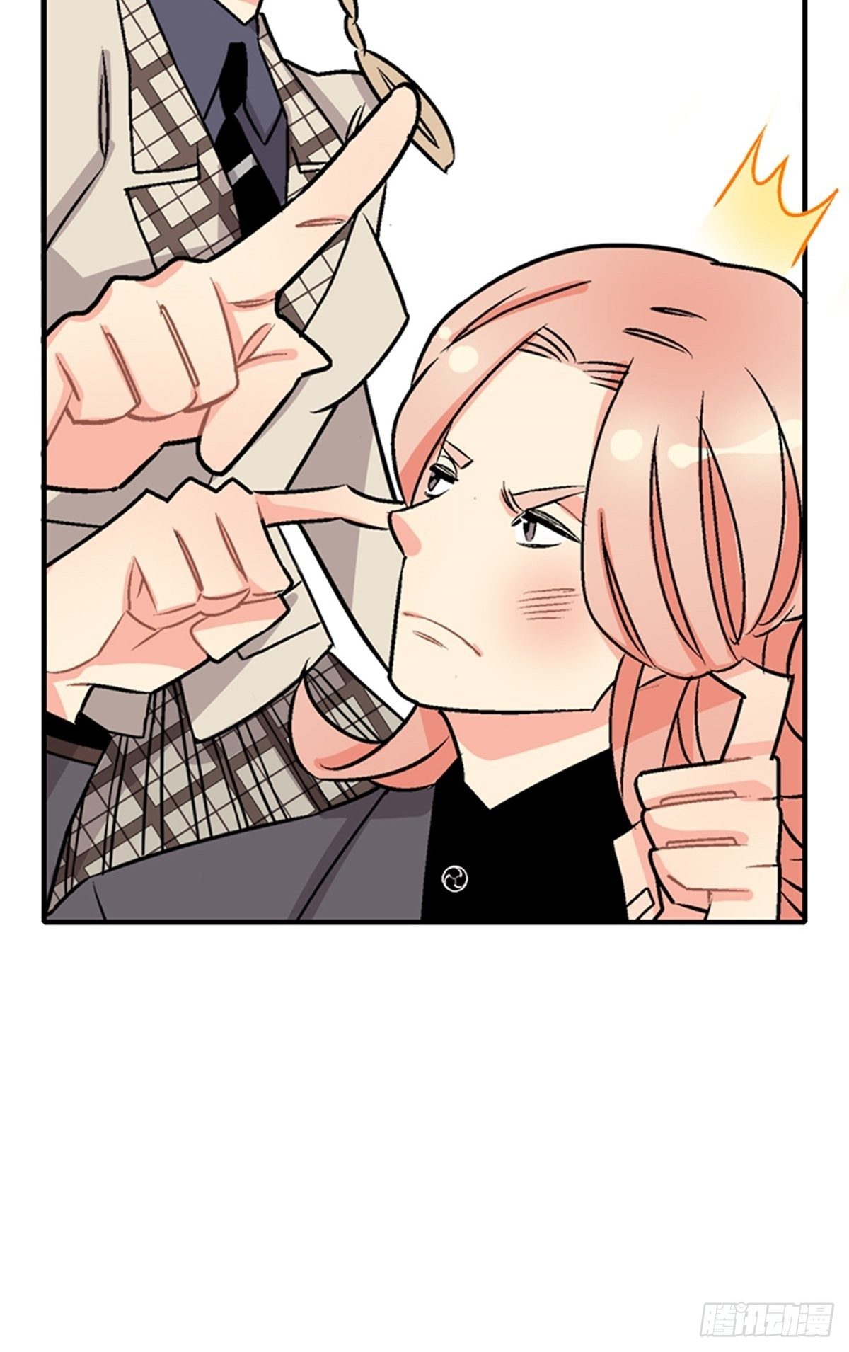 chapter 1325