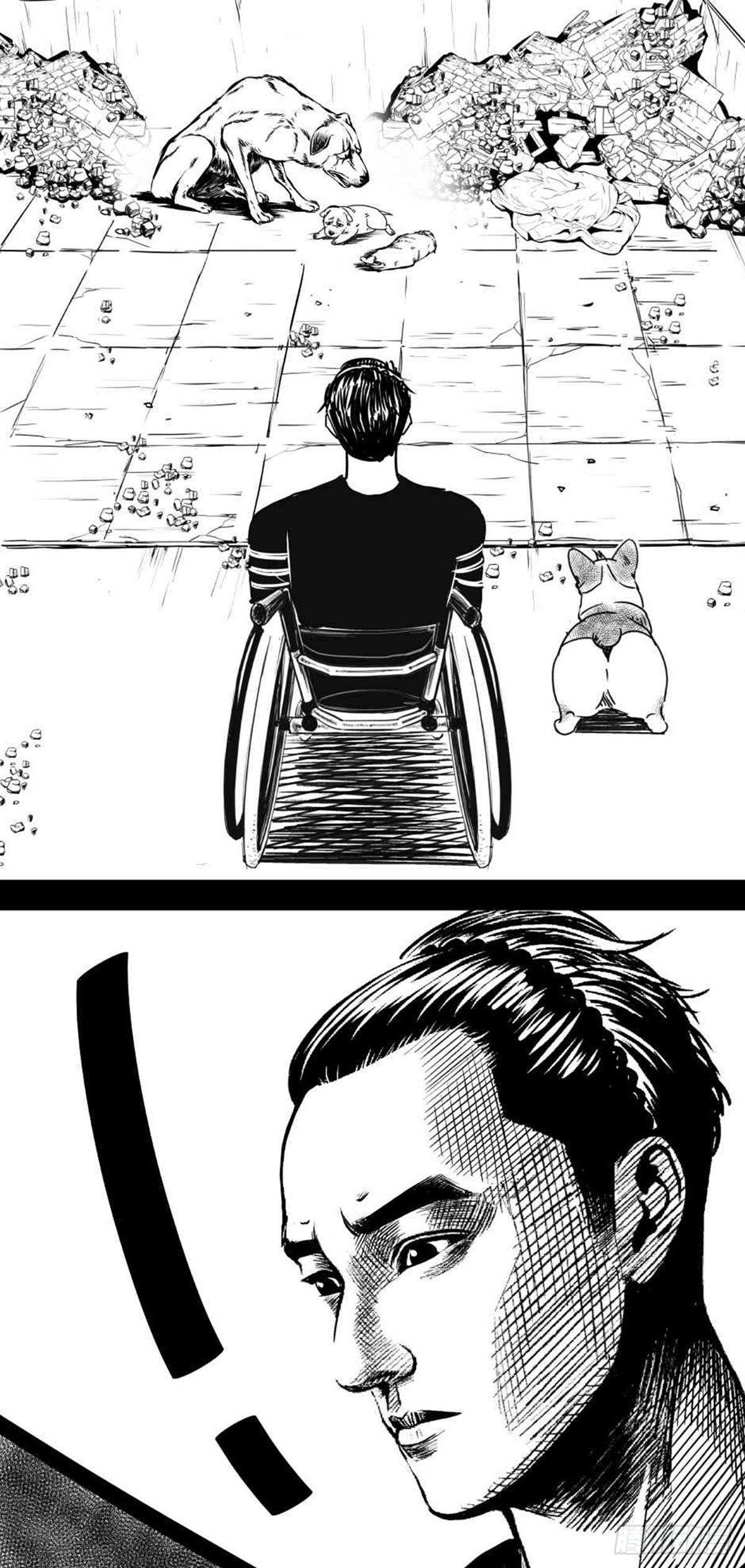 为抢根骨头我坐轮椅追了四条街63