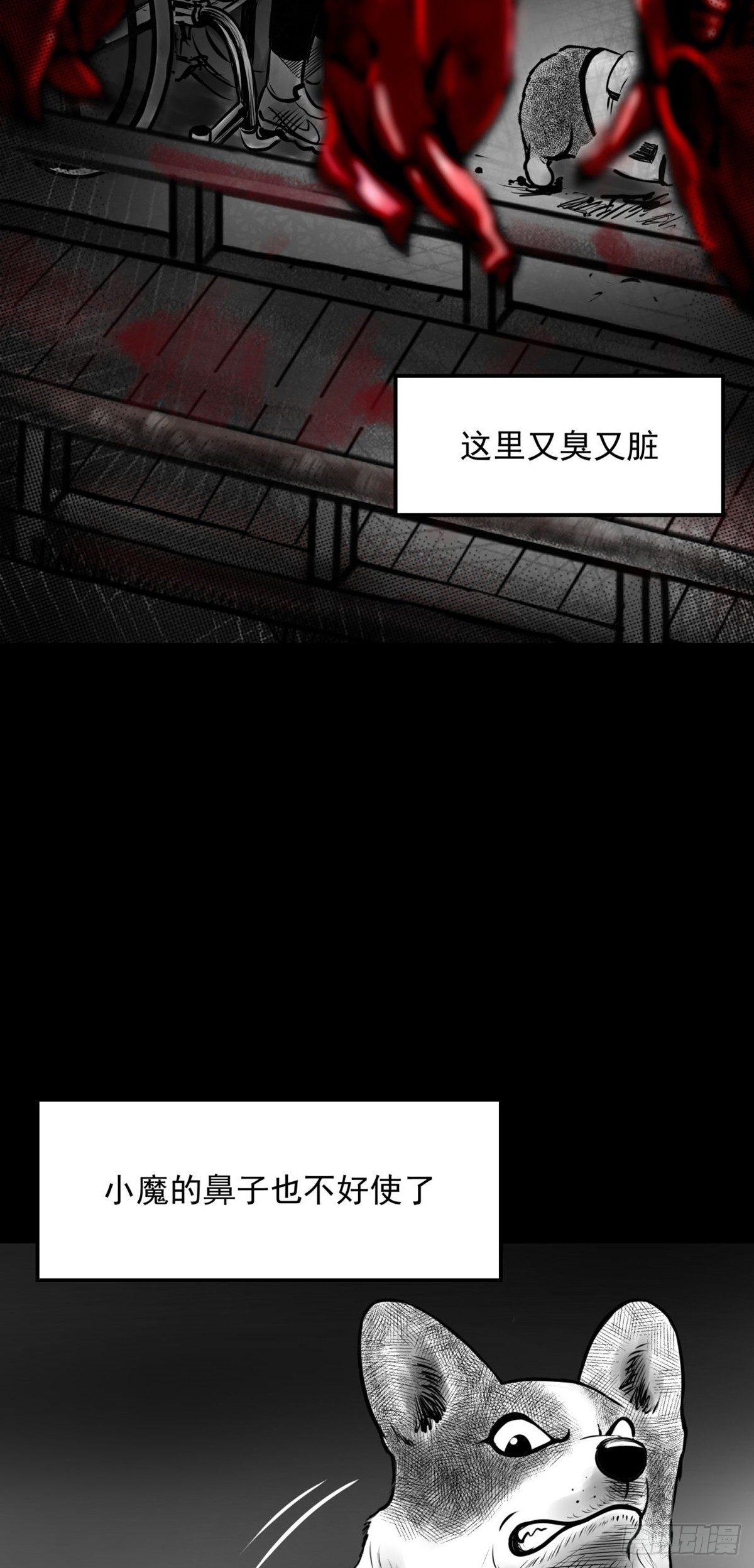 “大飞你快来！”46