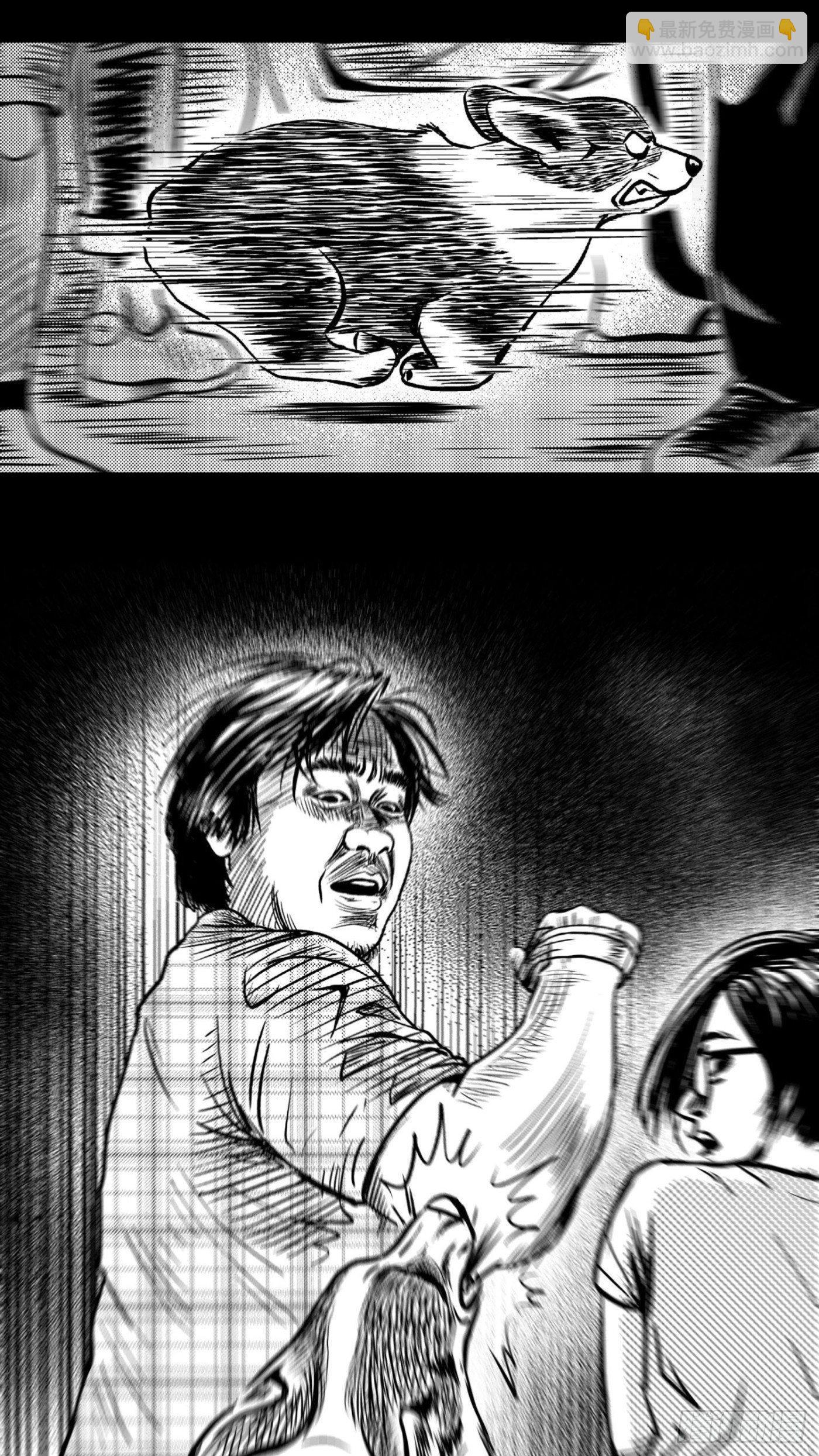 柯基公交车上抓色狼55