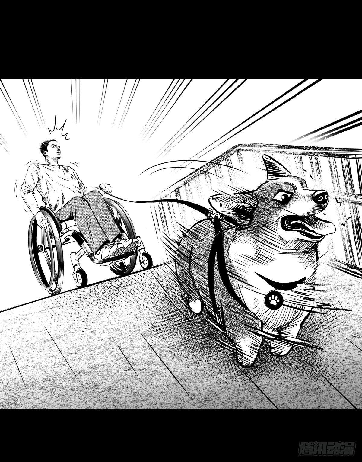残疾人飙车14