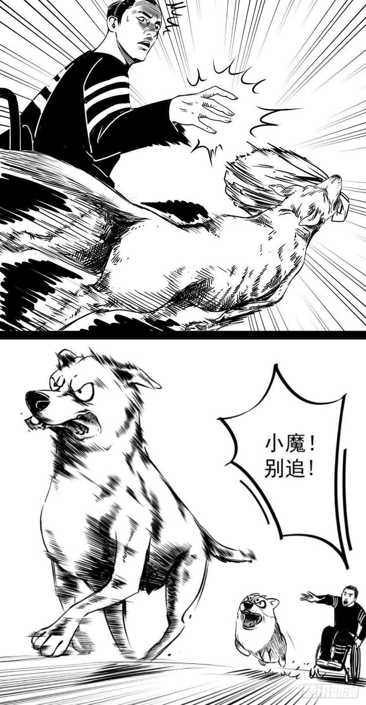 为抢根骨头我坐轮椅追了四条街32