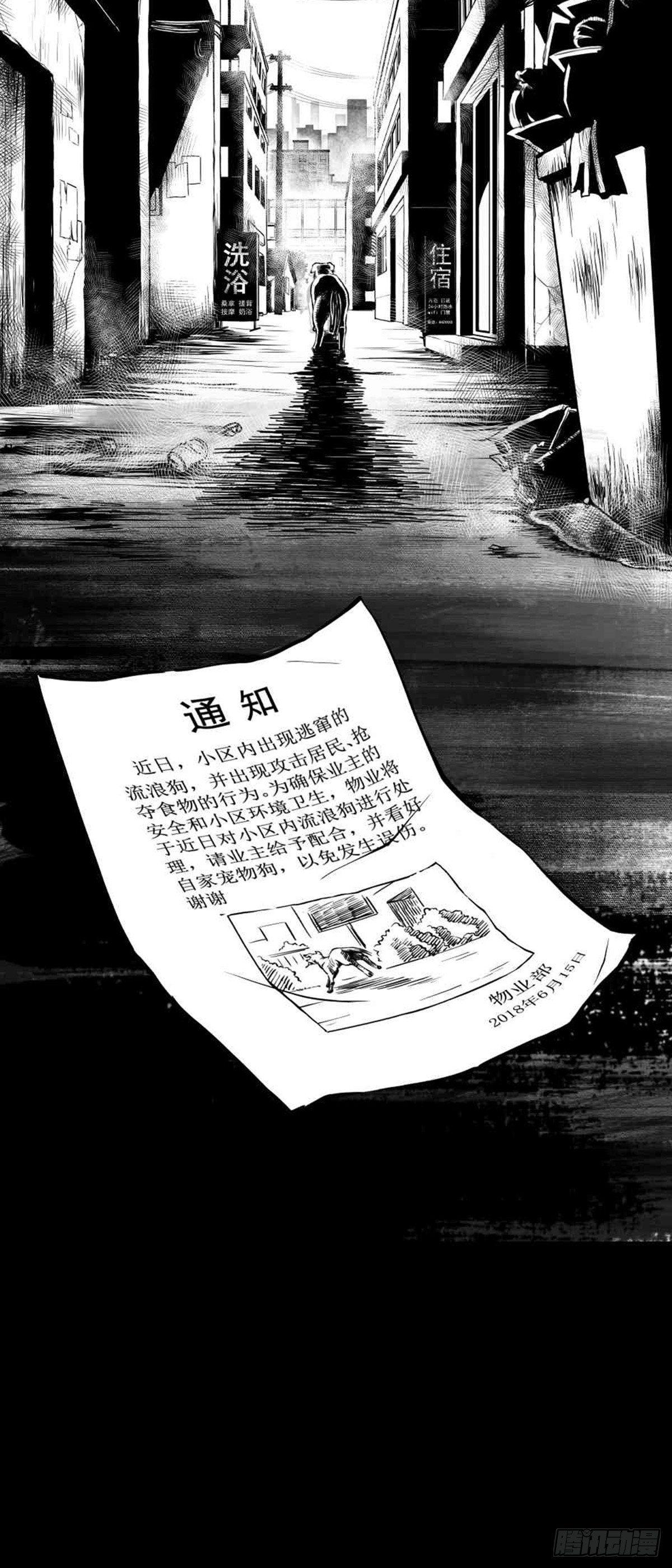 为抢根骨头我坐轮椅追了四条街78